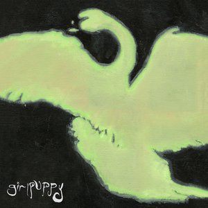 “Swan”的封面