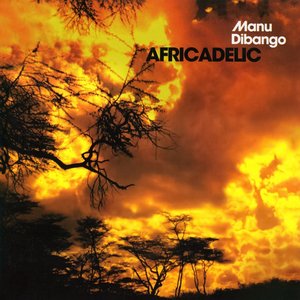 Image for 'Africadelic'