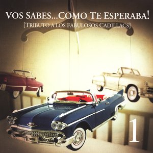 Bild für 'Tributo A Los Fabulosos Cadillacs'