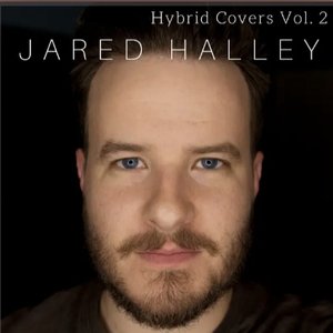 “Hybrid Covers, Vol. 2”的封面