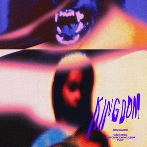 Image for 'Kingdom'