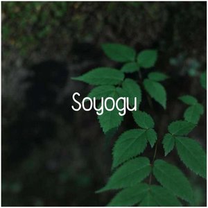 Image for 'Soyogu'
