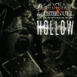 “Hollow”的封面