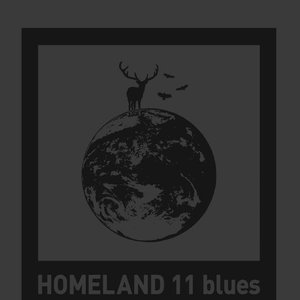 Image for 'HOMELAND 11 blues'