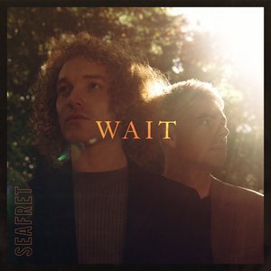 “Wait”的封面