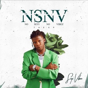 “Nsnv”的封面