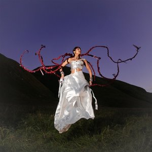Image for 'a softer place to land'