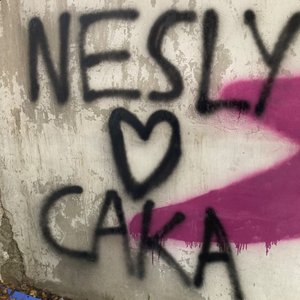 Image for 'Nesly'
