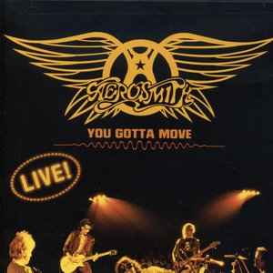 Image pour 'You Gotta Move (Dvd-A)'