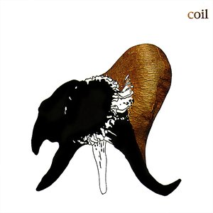“Black Antlers”的封面