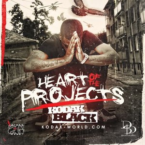 Immagine per 'Heart Of The Projects'