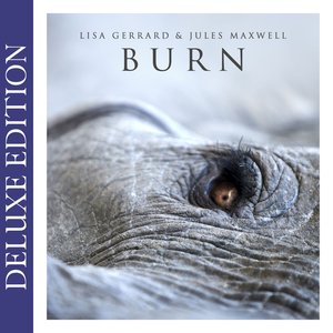 Image for 'Burn (Deluxe Edition)'