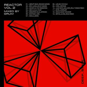 Image for 'Reactor, Vol. 2 (DJ Mix)'