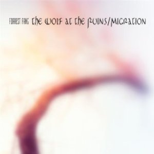 Image for 'The Wolf At The Ruins / Migration (reissue)'