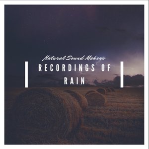 “Recordings of Rain”的封面