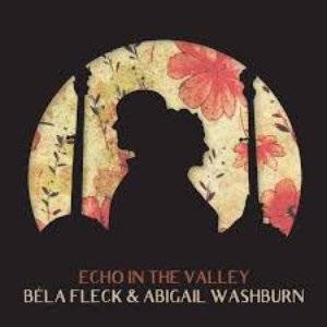 Image for 'Echo In the Valley'