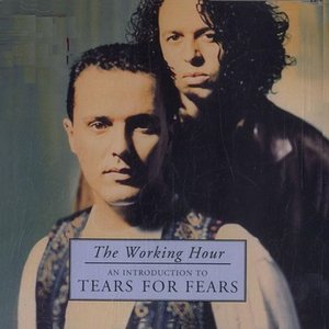 'The Working Hour - An Introduction To Tears For Fears'の画像