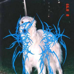 apoleon33