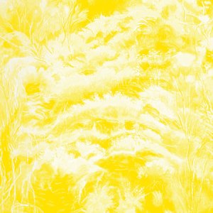 Image for 'In The Half Light (Instrumental)'