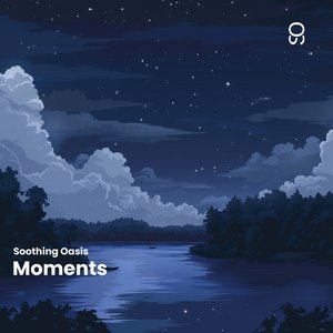 Image pour 'Moments'