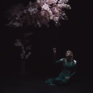 “Night Mother”的封面