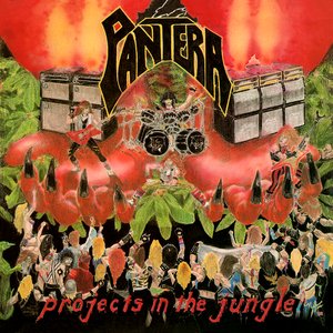 Bild för 'Projects in the Jungle'