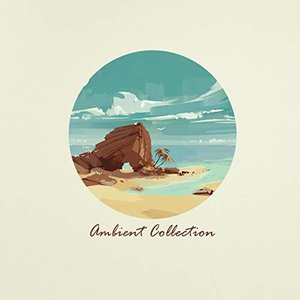 Immagine per 'Ambient Collection'