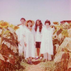 Image for 'THE NATSUYASUMI BAND'