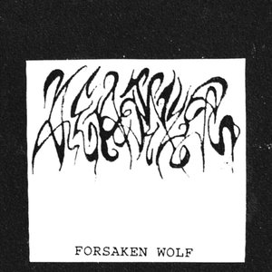 “Forsaken Wolf”的封面