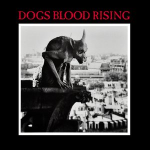 Image for 'Dogs Blood Rising'