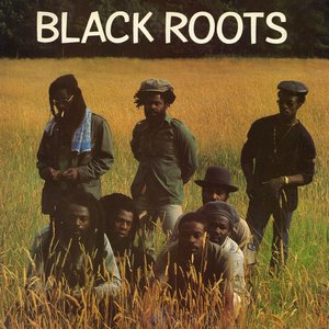 “Black Roots”的封面