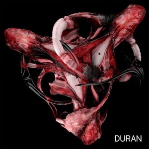 Image for 'Duran'