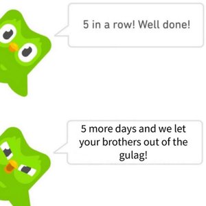 “Duolingo”的封面