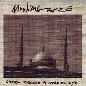 Image for 'Camel Through a Needles Eye'