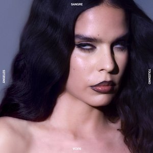 “SANGRE SUCIA”的封面
