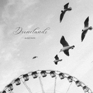 Image for 'Dronelands'