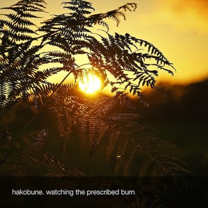 'Watching the Prescribed Burn' için resim