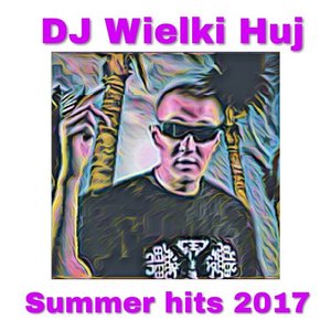 Image for 'Summer Hits 2017'