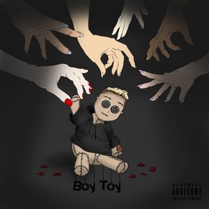 Image for 'boy toy'