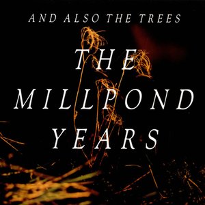 “The Millpond Years”的封面
