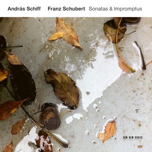 Image for 'Franz Schubert: Sonatas & Impromptus'