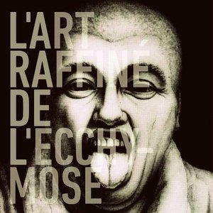 “L'art raffiné de l'ecchymose”的封面