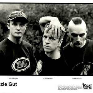 “Puzzle Gut”的封面