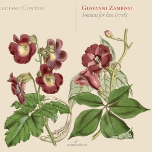 'Zamboni: Sonatas for Lute' için resim