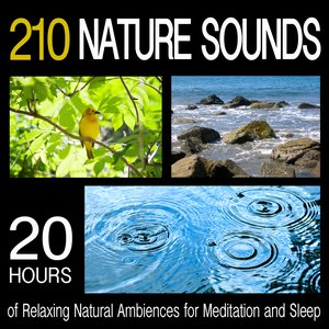 Изображение для '210 Nature Sounds - 20 Hours Of Relaxing Natural Ambiences for Meditation And Sleep'