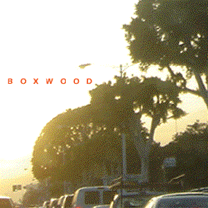 Image for 'Boxwood'