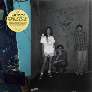 Image pour 'You'll Never Play This Town Again'