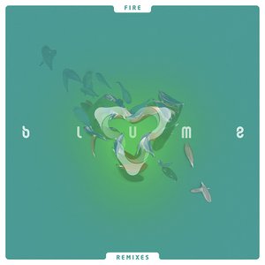 Image for 'Fire (Remixes)'