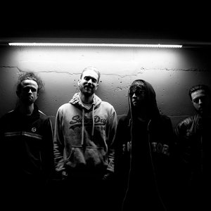 “Graceful”的封面