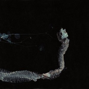 Image for 'Maaäet'